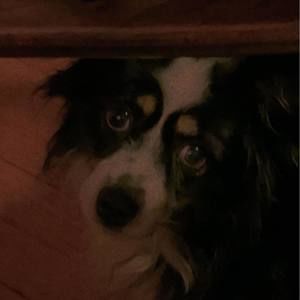 Meet your Posher, Misti